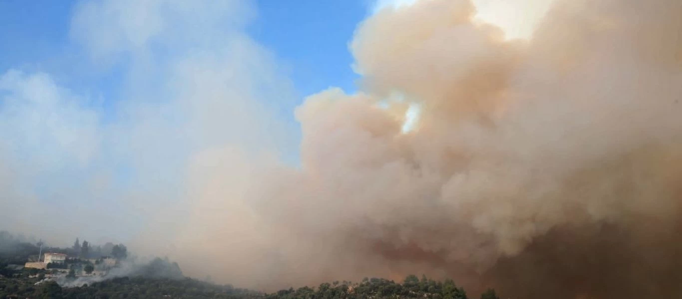 Χαλκιδική: Φωτιά τώρα στην Σιθωνία - Ενεργούν επίγειες και εναέριες δυνάμεις